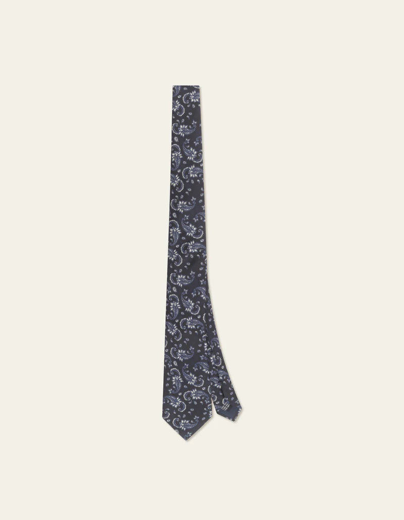 PAISLEY TIE