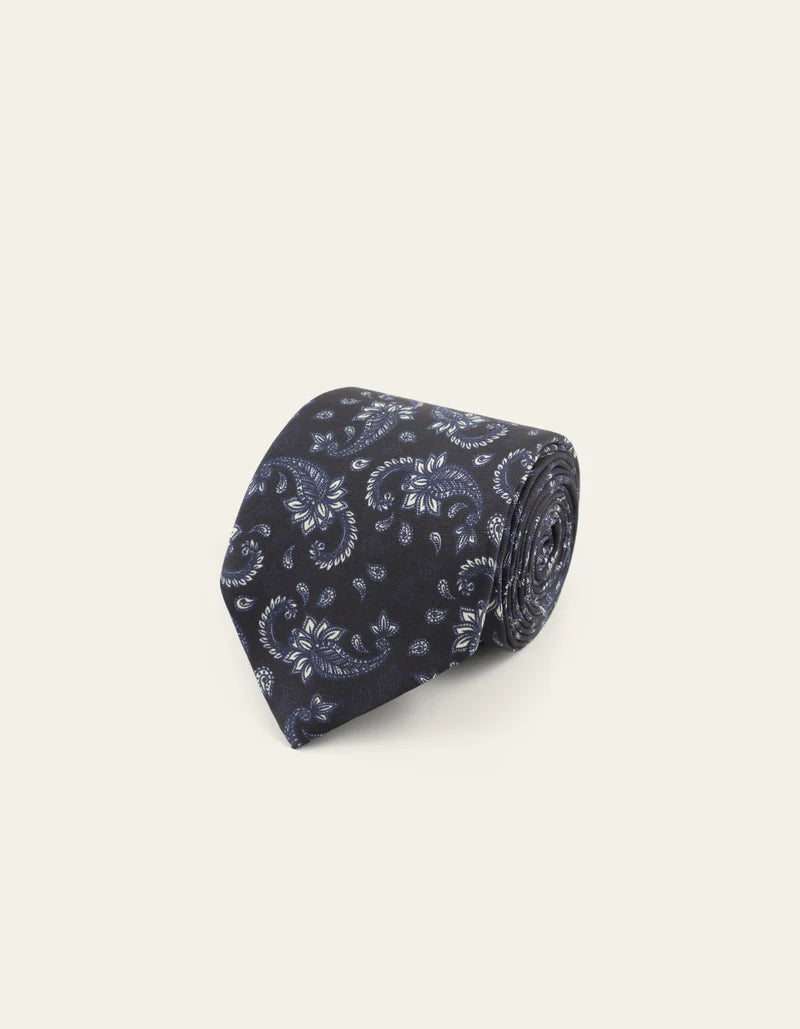 PAISLEY TIE